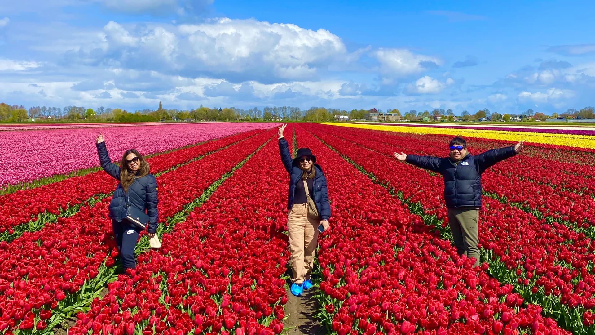 Discover the Netherlands with Tulip Tours Holland